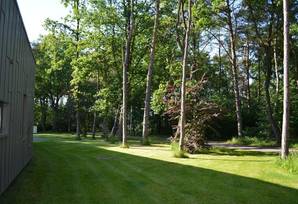 Outdoor Pictures 15