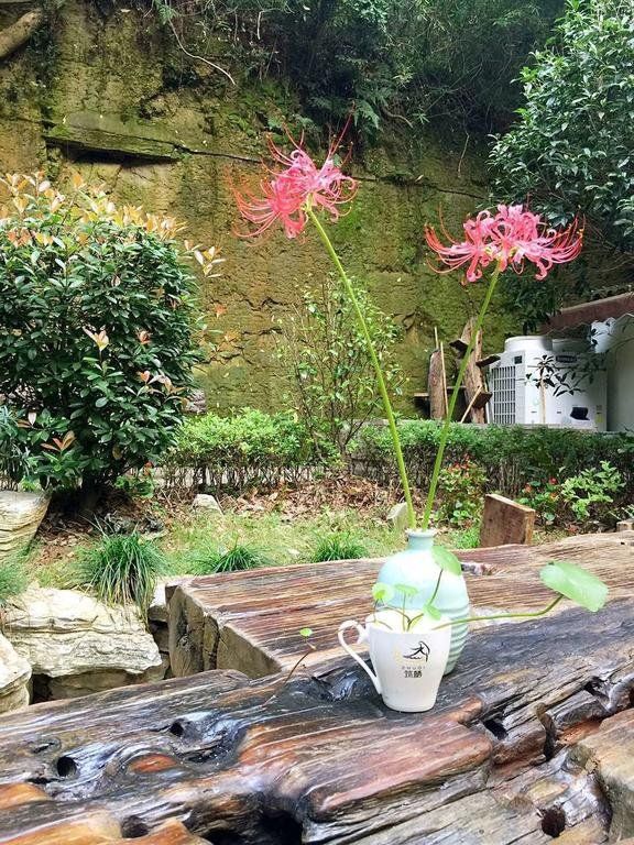 Outdoor Pictures 7