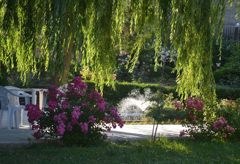 Outdoor Pictures 6