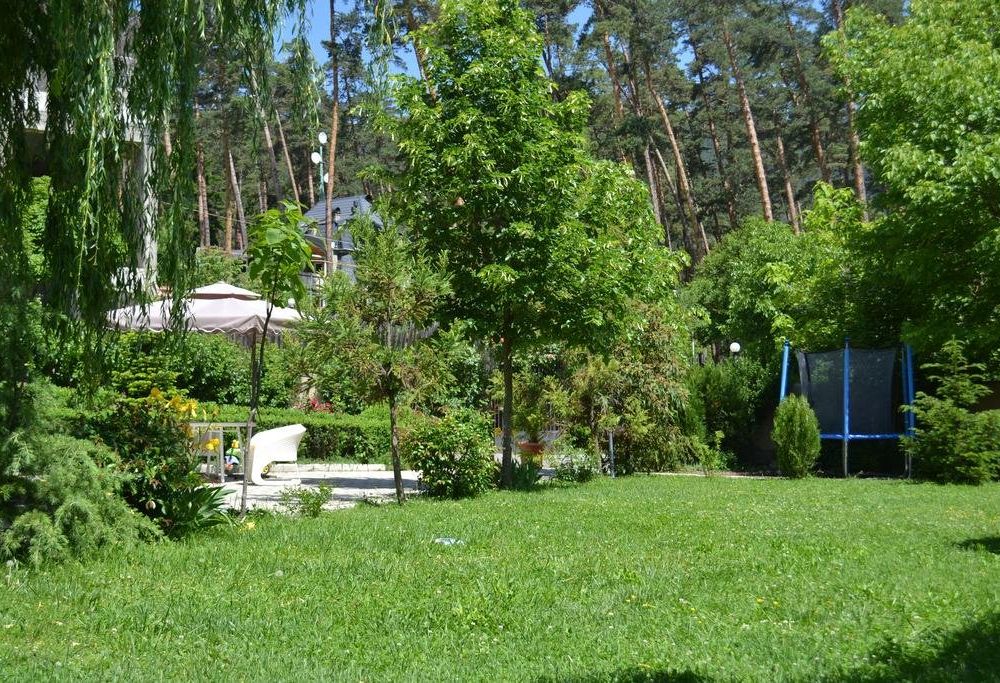 Outdoor Pictures 7