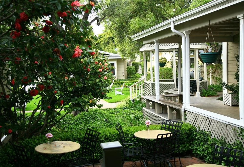 Outdoor Pictures 21