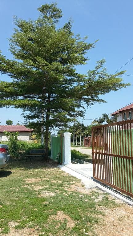 Outdoor Pictures 24