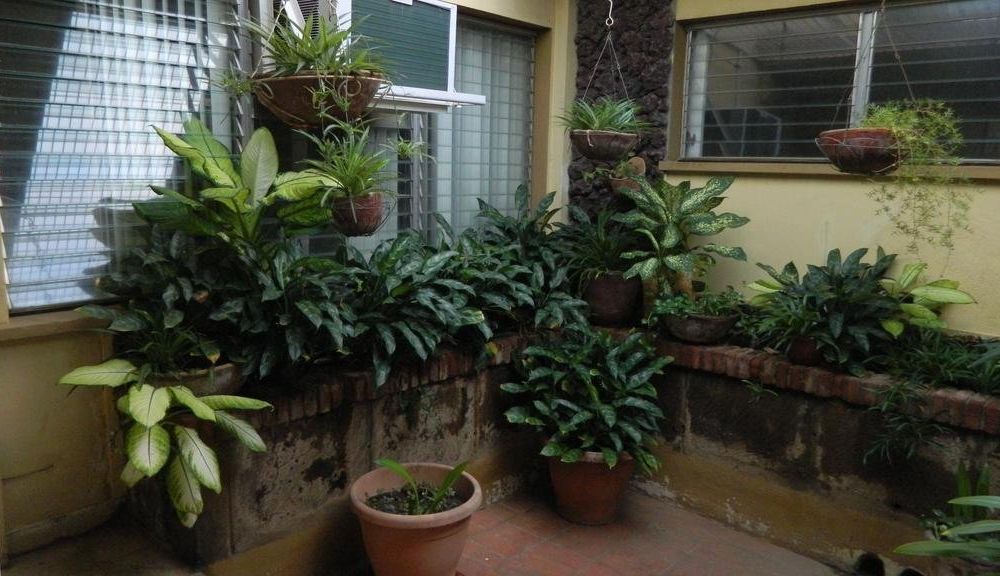 Outdoor Pictures 23
