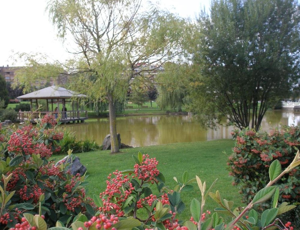 Outdoor Pictures 24
