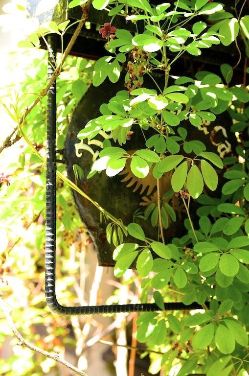 Outdoor Pictures 22
