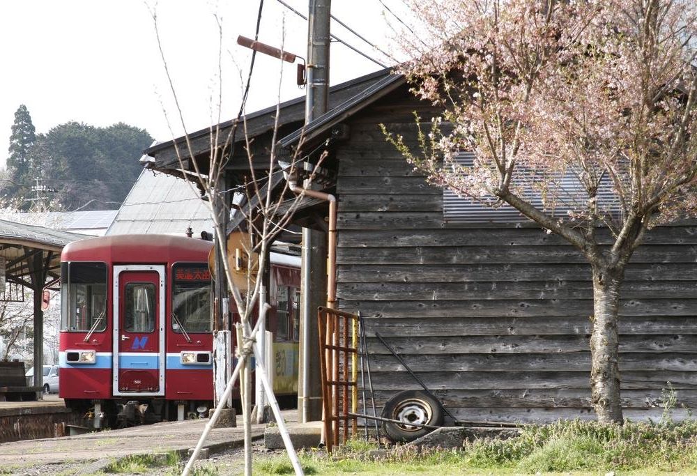 Outdoor Pictures 15