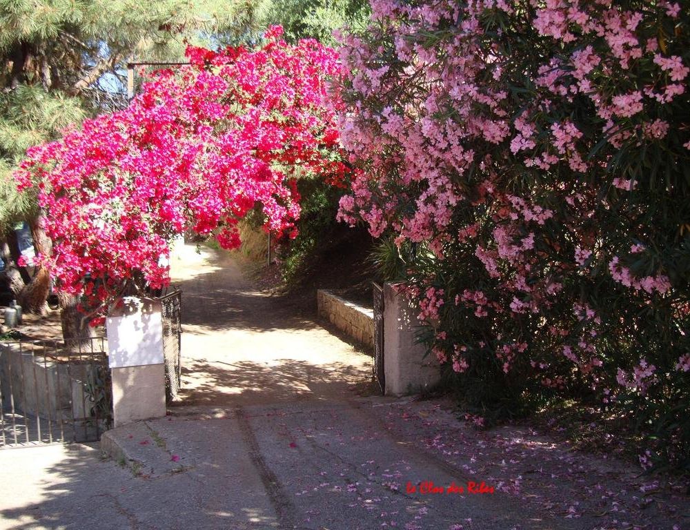 Outdoor Pictures 17