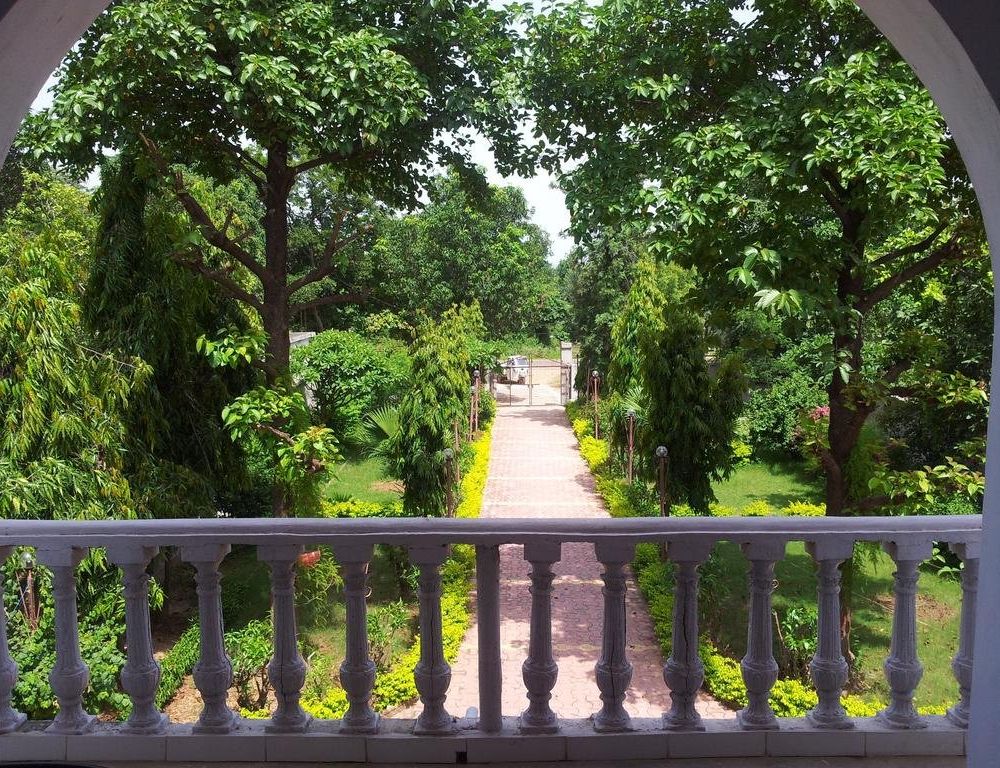 Outdoor Pictures 19