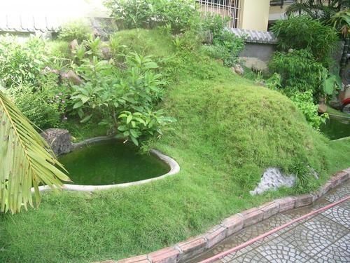 Outdoor Pictures 19