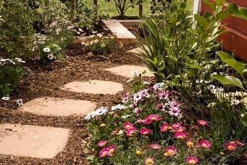 Outdoor Pictures 11