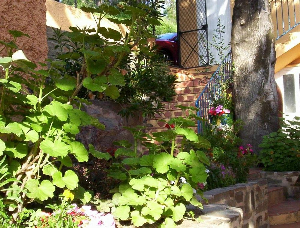 Outdoor Pictures 19