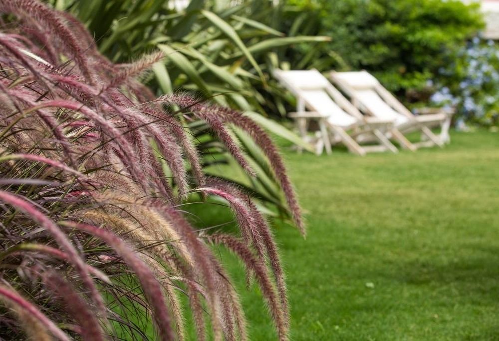 Outdoor Pictures 20