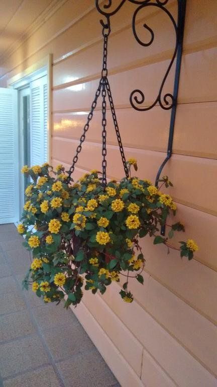 Outdoor Pictures 15