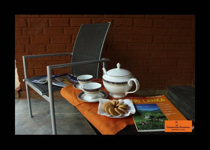 Outdoor Pictures 5