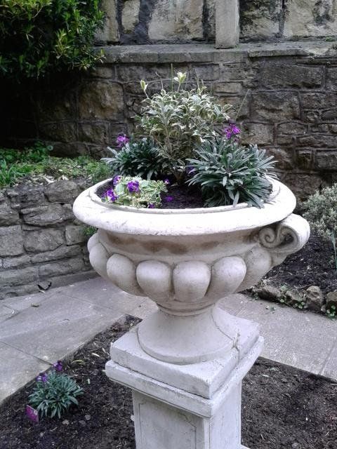 Outdoor Pictures 18