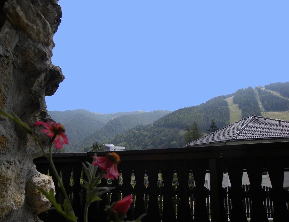 Outdoor Pictures 24