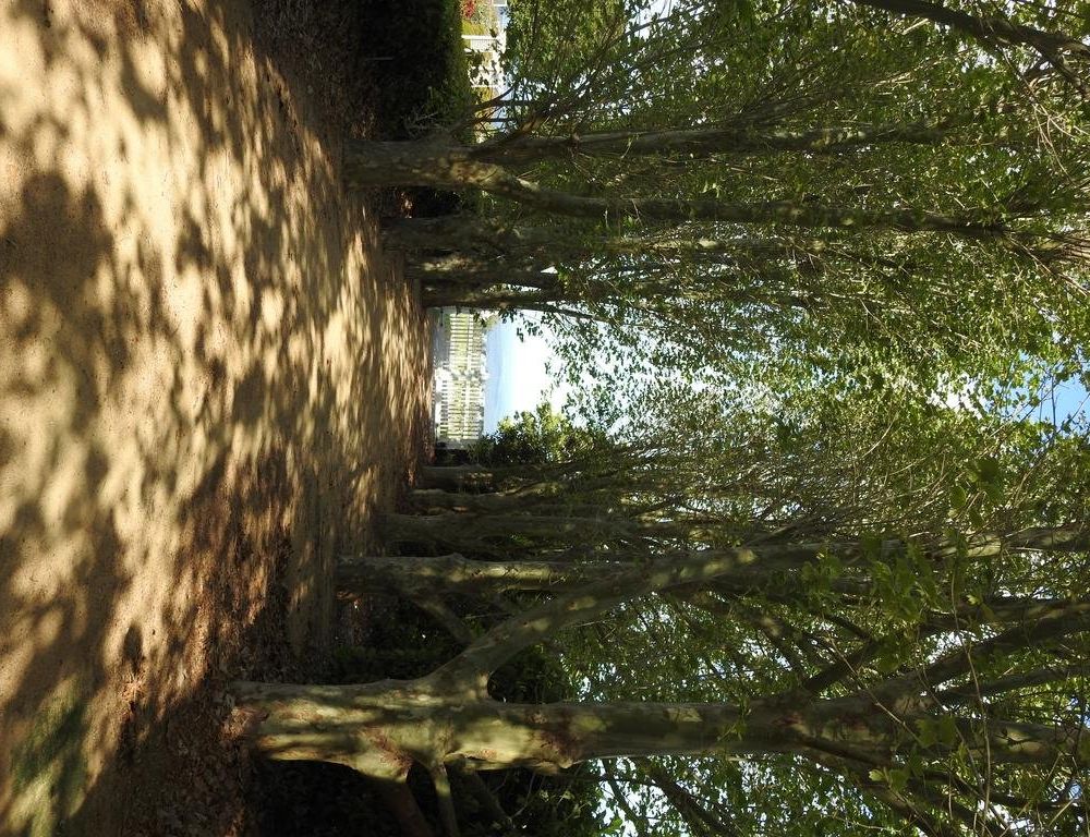 Outdoor Pictures 12
