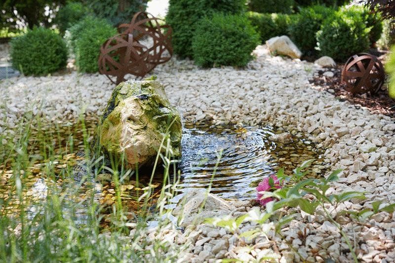 Outdoor Pictures 18