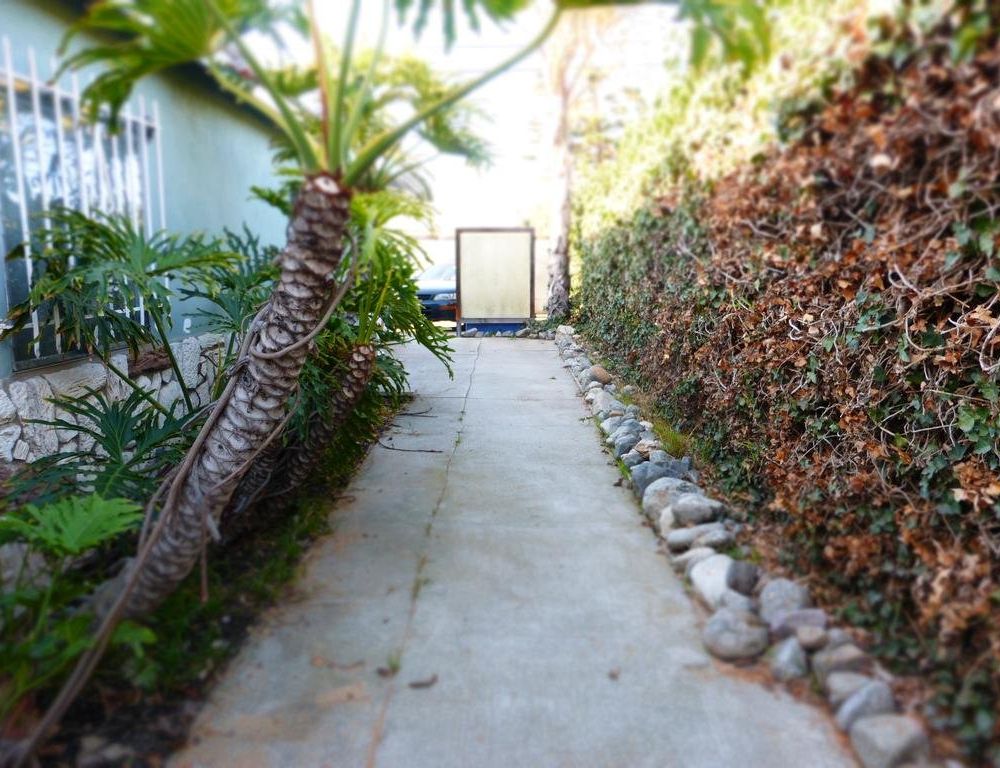 Outdoor Pictures 24