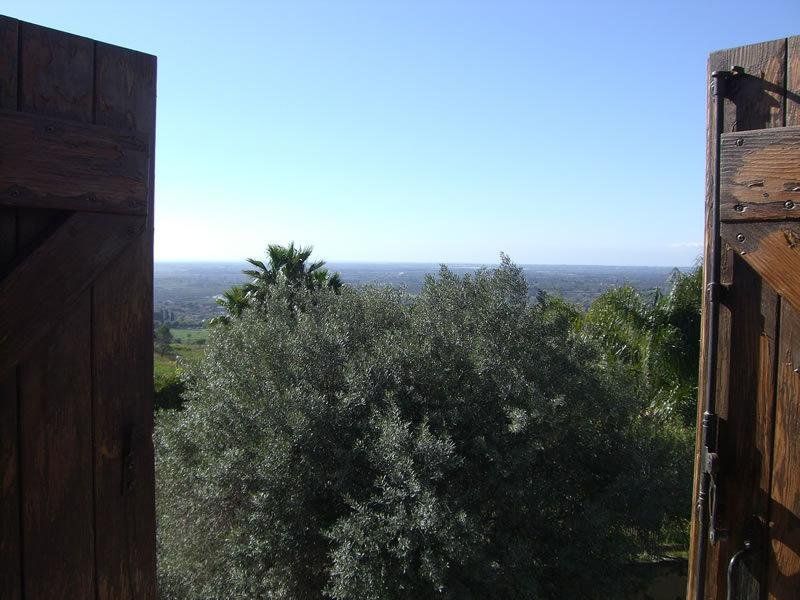 Outdoor Pictures 12