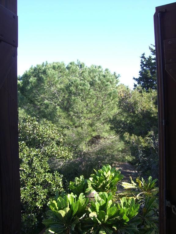 Outdoor Pictures 19