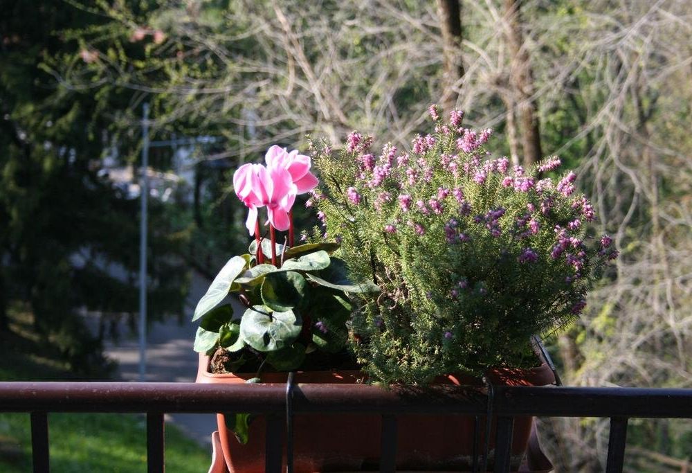 Outdoor Pictures 17