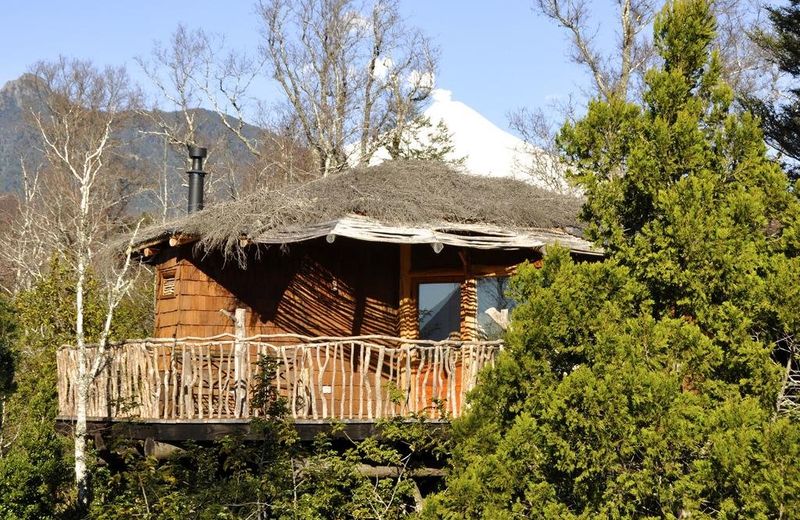 Tree Lodge Nidos de Pucon