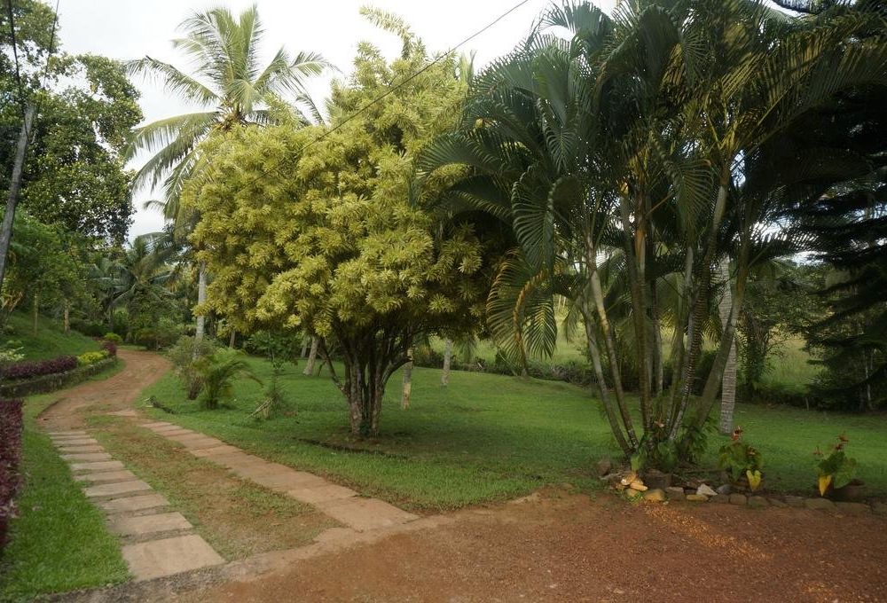 Outdoor Pictures 7