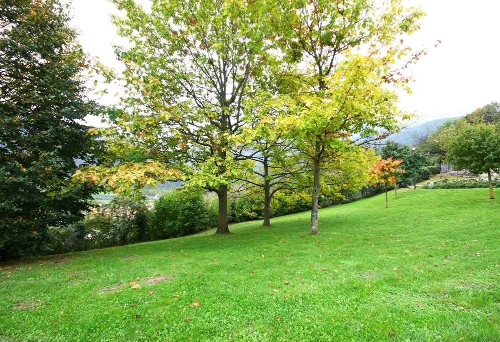 Outdoor Pictures 20