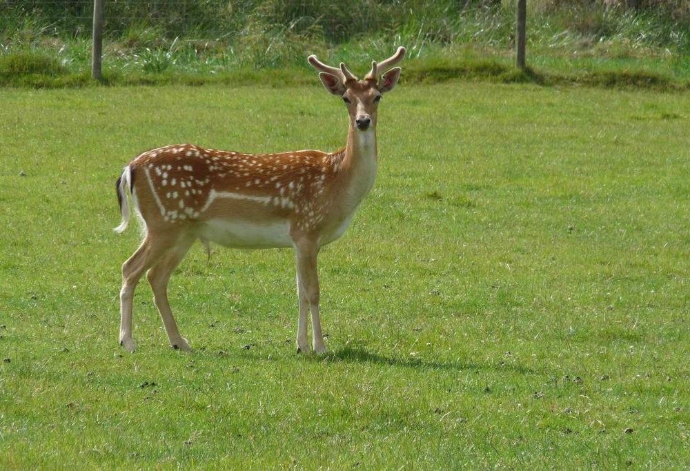 Outdoor Pictures 16