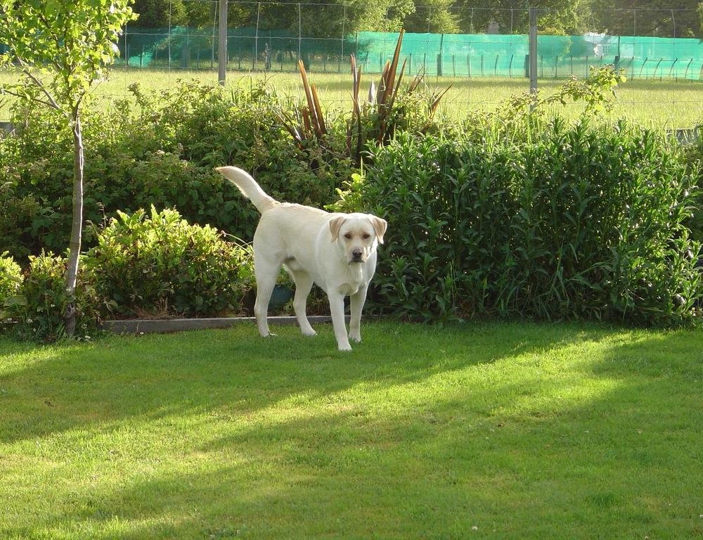 Outdoor Pictures 19