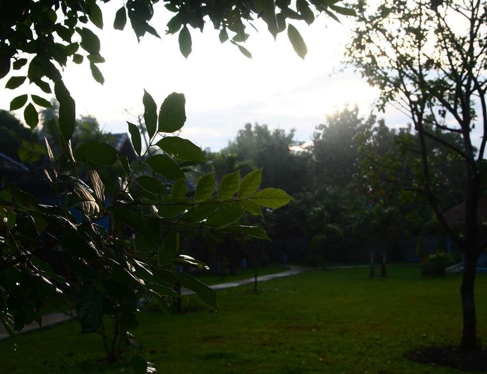 Outdoor Pictures 20