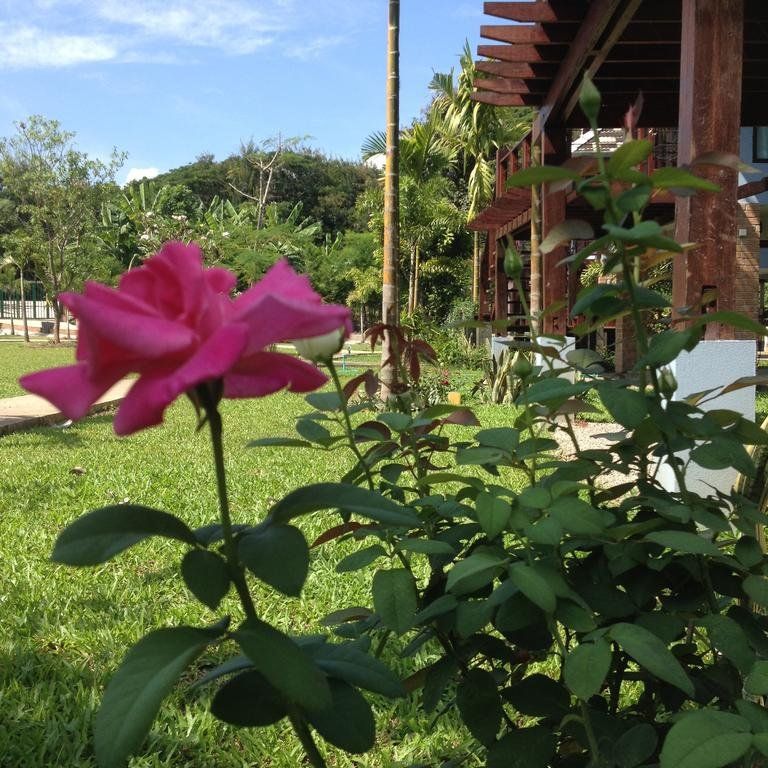 Outdoor Pictures 18