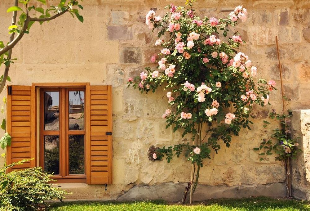 Outdoor Pictures 21