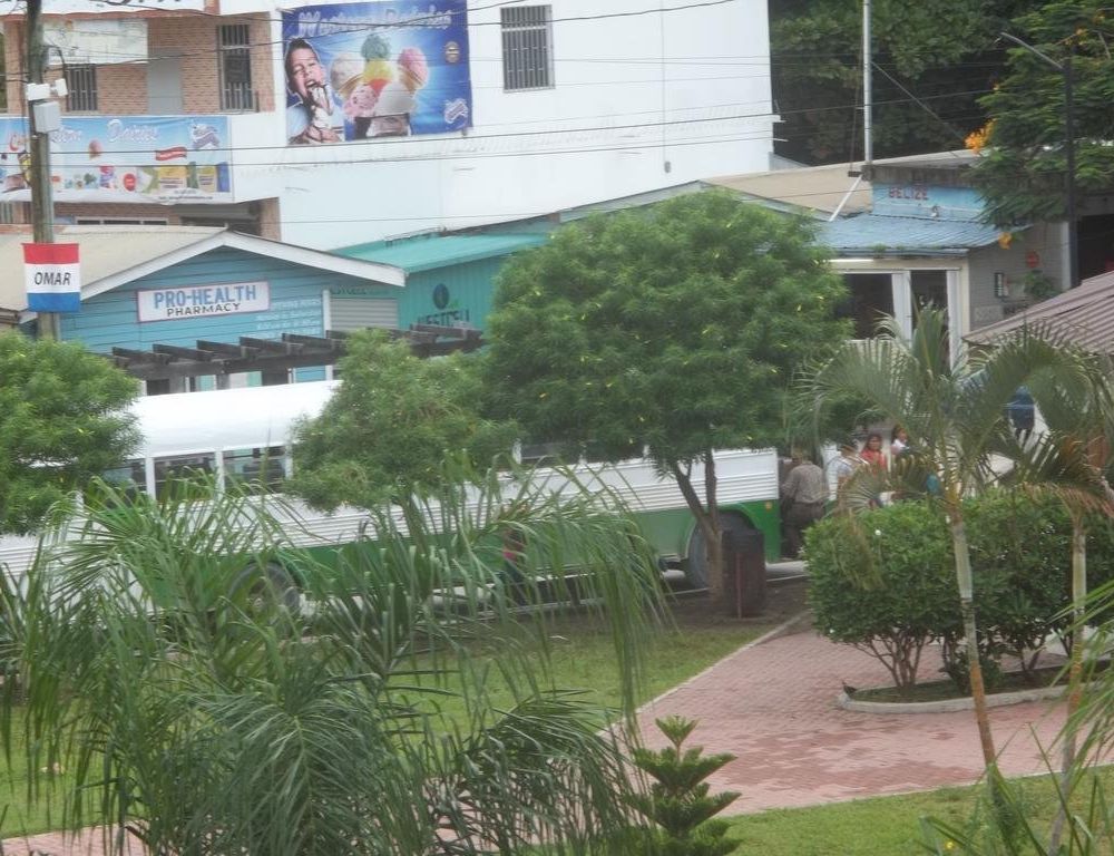 Outdoor Pictures 17