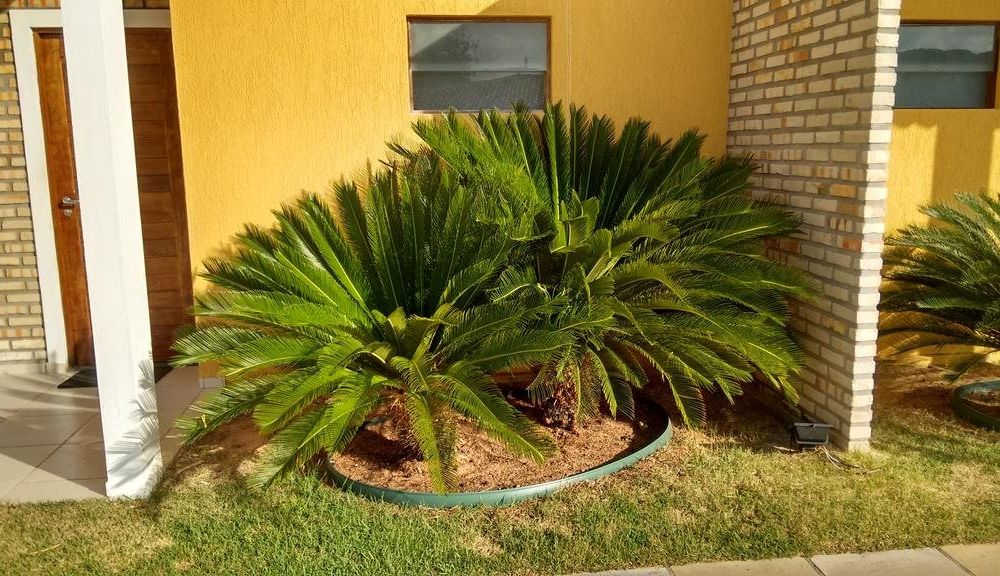 Outdoor Pictures 10