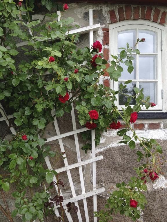 Outdoor Pictures 15