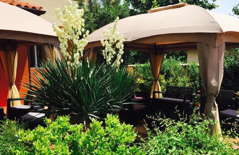 Family Hotel Kontesa