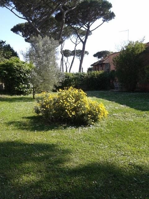 Outdoor Pictures 15