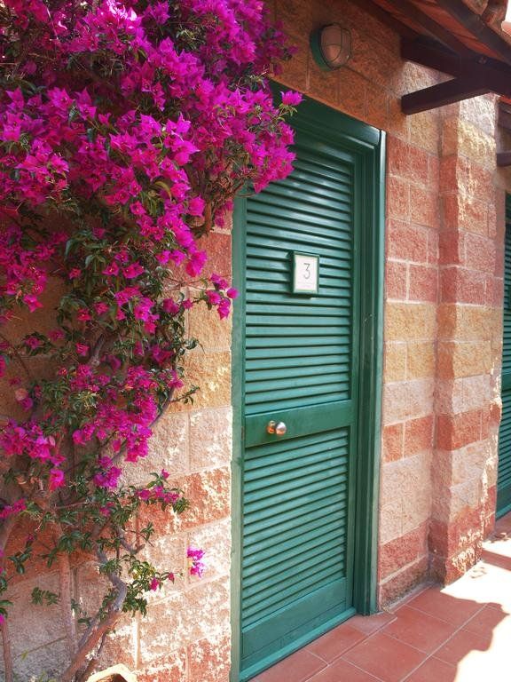 Outdoor Pictures 23