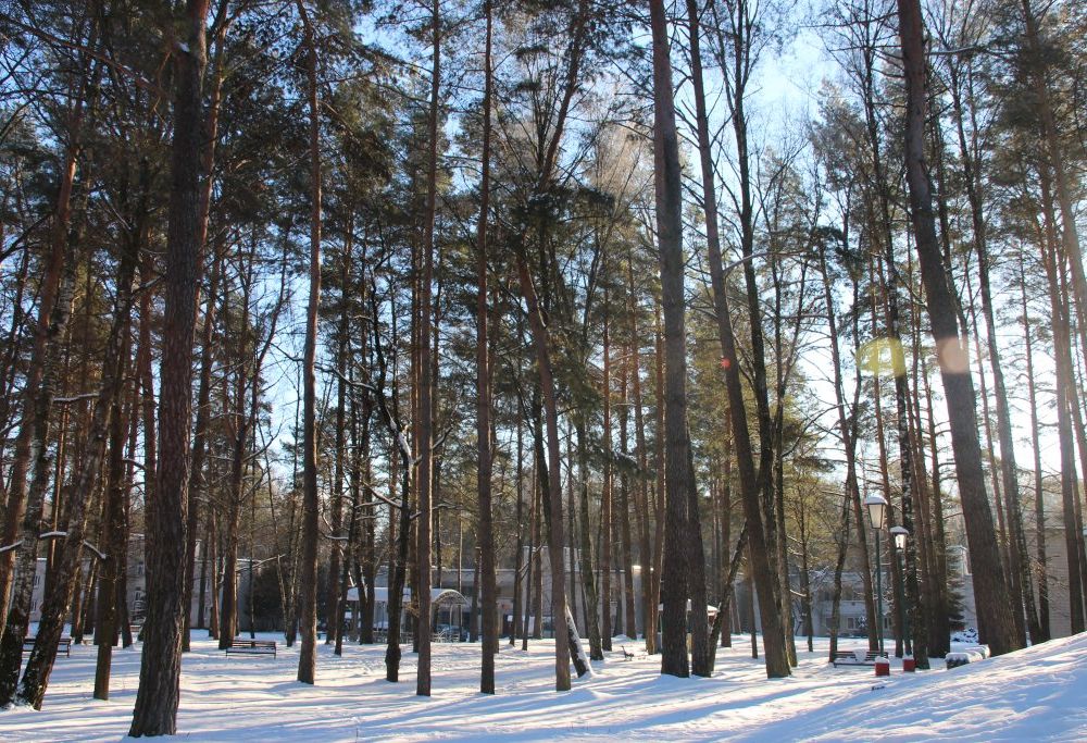 Outdoor Pictures 19