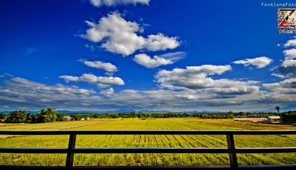 Outdoor Pictures 16