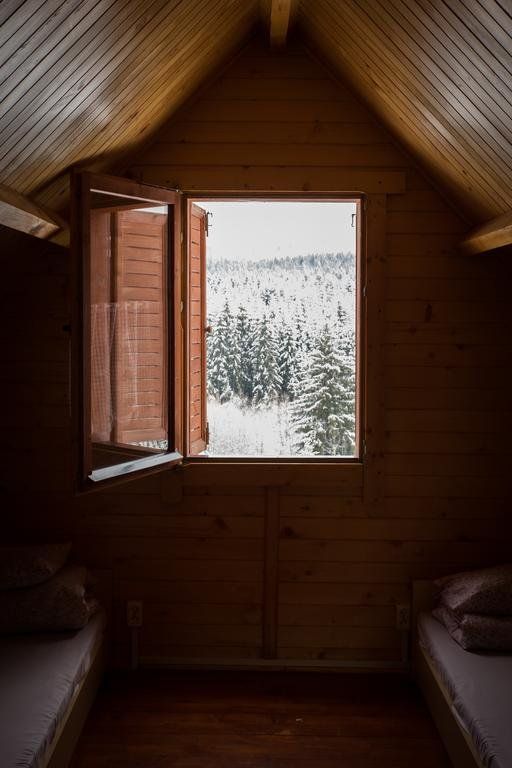Outdoor Pictures 8