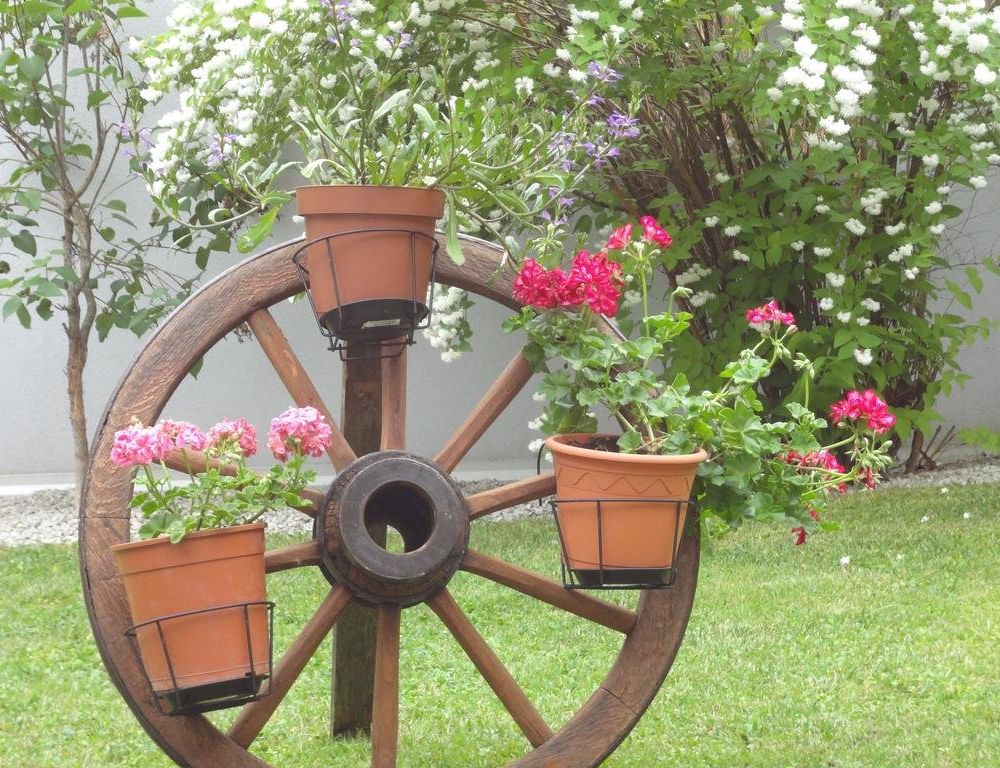 Outdoor Pictures 23