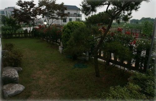 Outdoor Pictures 22
