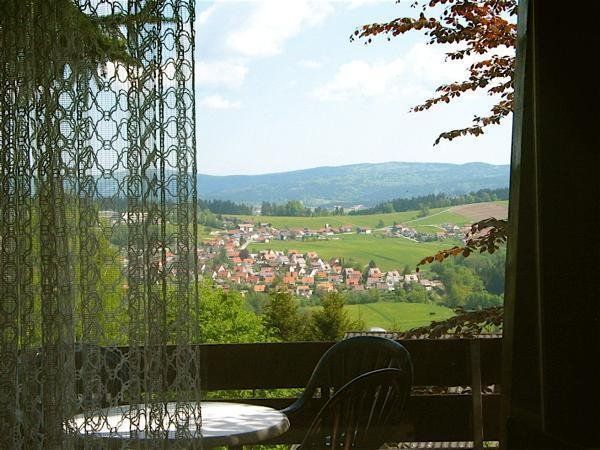 Outdoor Pictures 9