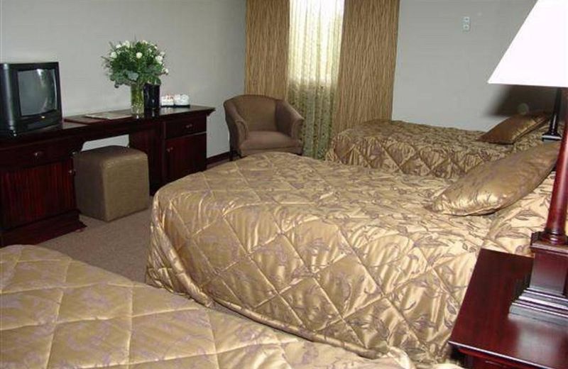 Welkom Inn