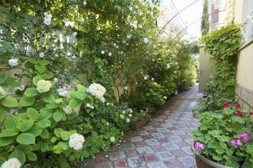 Outdoor Pictures 20