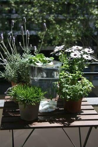 Outdoor Pictures 24