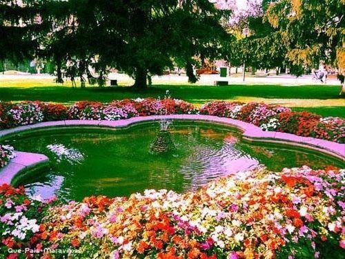 Outdoor Pictures 22